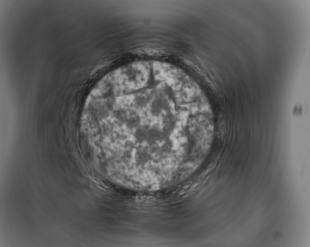 X0000099511297200806121429