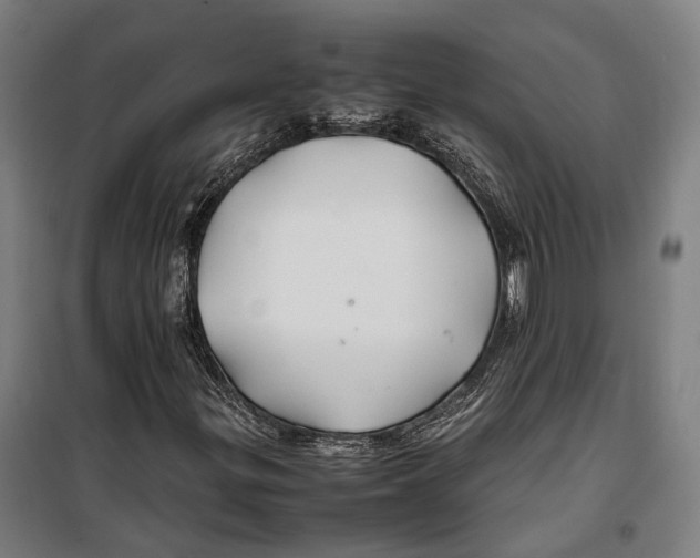 X0000099511299200806121429