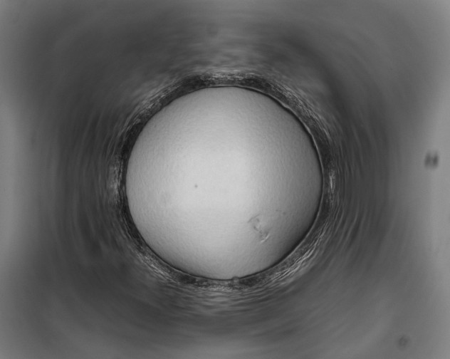 X0000099511300200806121429