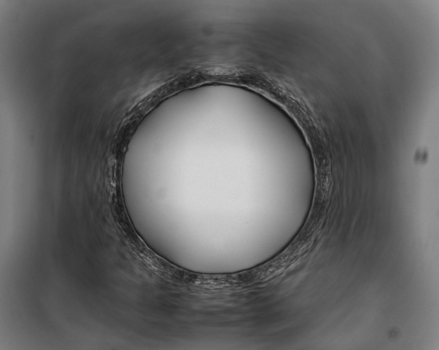 X0000099511301200806121429