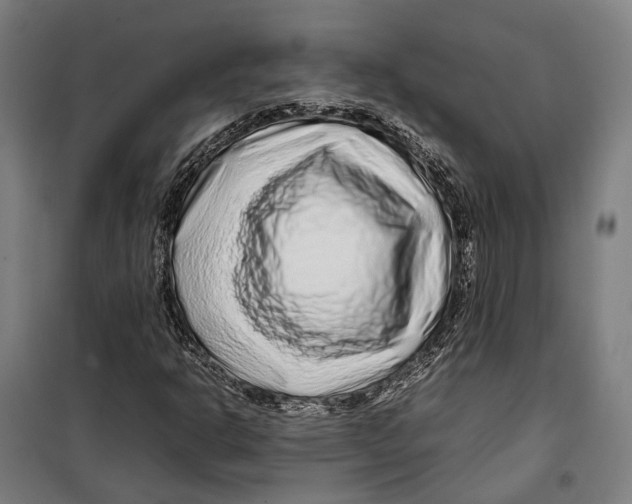 X0000099511302200806121429