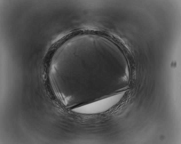 X0000099511303200806121429