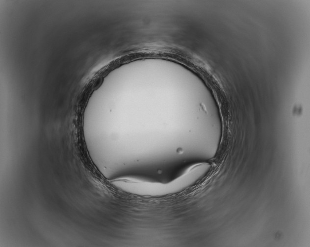 X0000099511304200806121429
