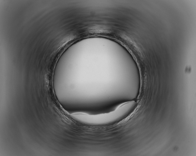 X0000099511305200806121429