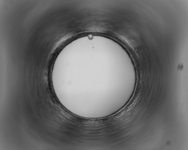 X0000099511307200806121429