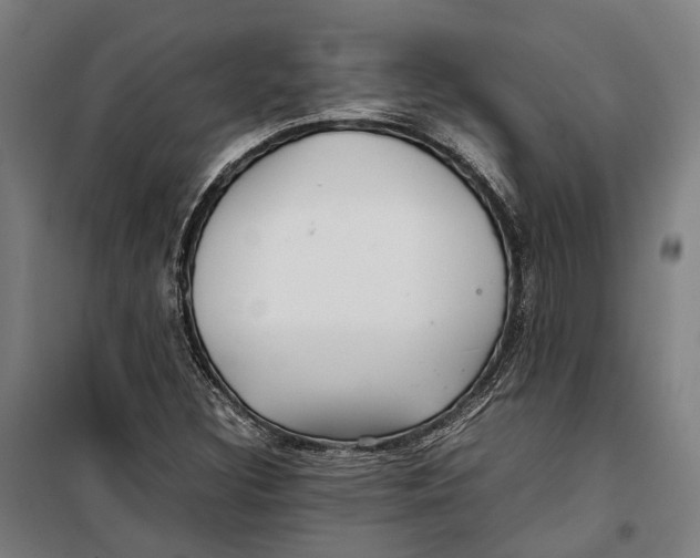 X0000099511308200806121429