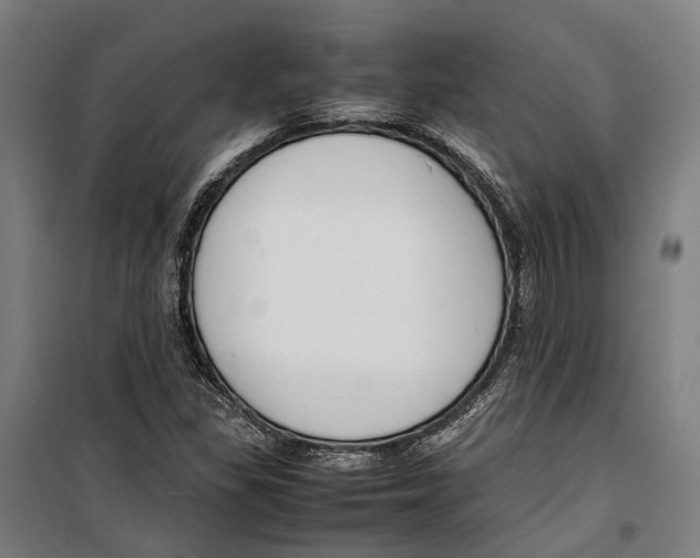 X0000099511309200806121429