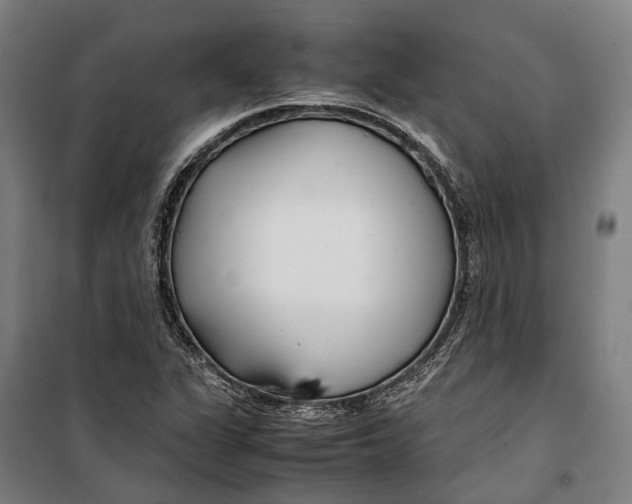 X0000099511311200806121429