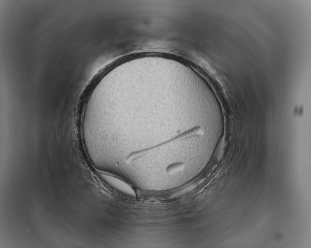 X0000099511312200806121429