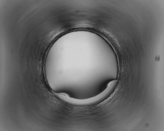 X0000099511313200806121429