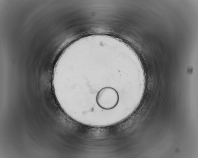 X0000099511314200806121429