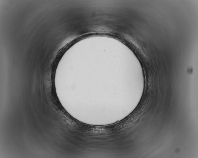 X0000099511315200806121429