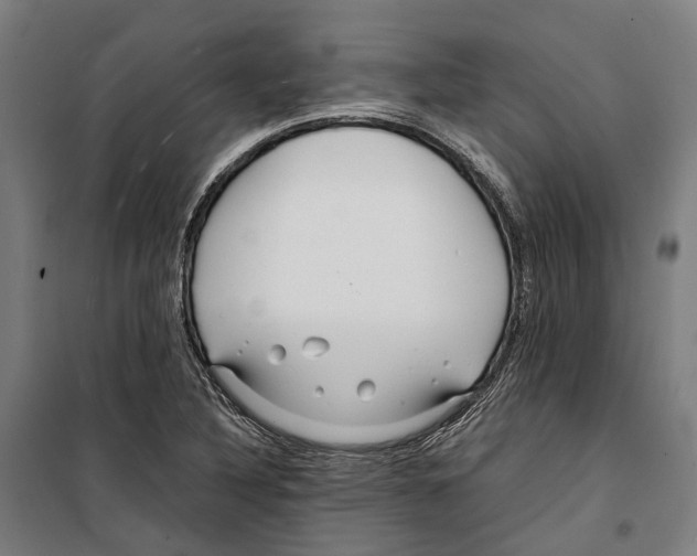 X0000099511316200806121430