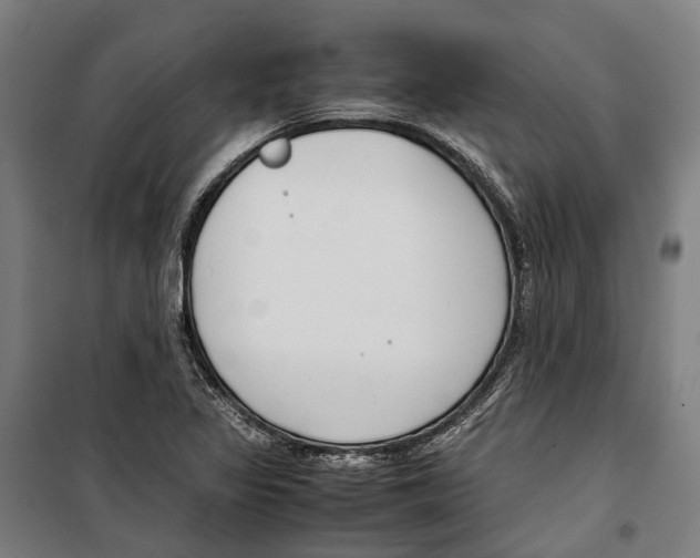 X0000099511317200806121430