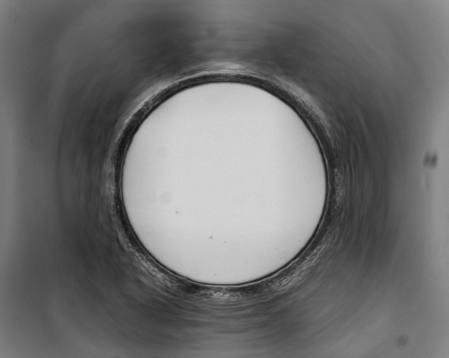 X0000099511318200806121430