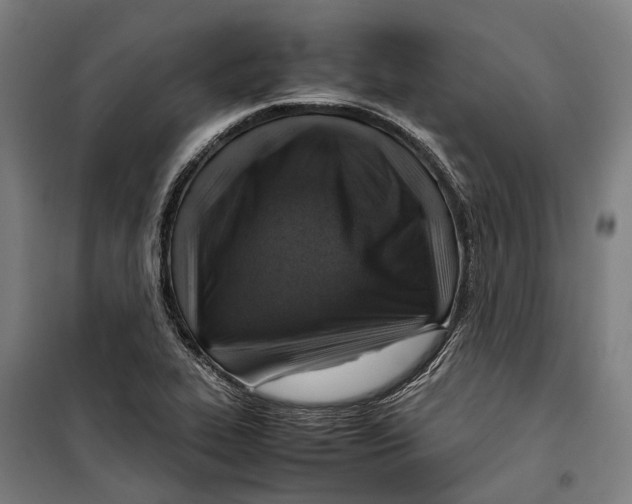 X0000099511319200806121430