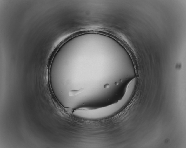 X0000099511320200806121430