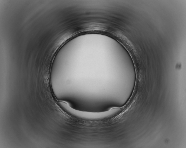 X0000099511321200806121430