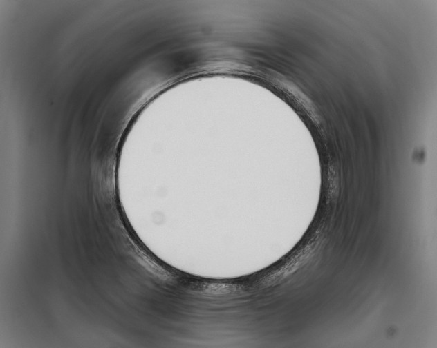 X0000099511322200806121430