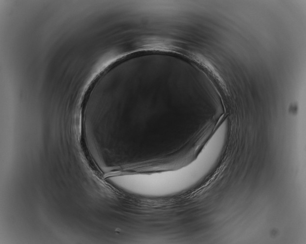 X0000099511323200806121430