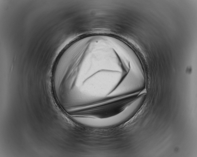 X0000099511325200806121430