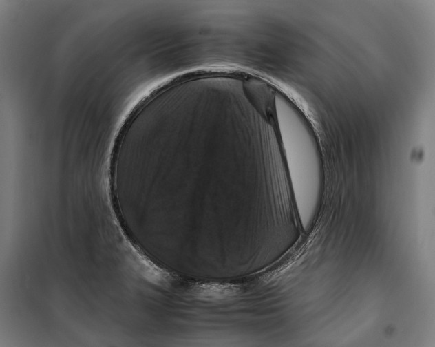 X0000099511327200806121430