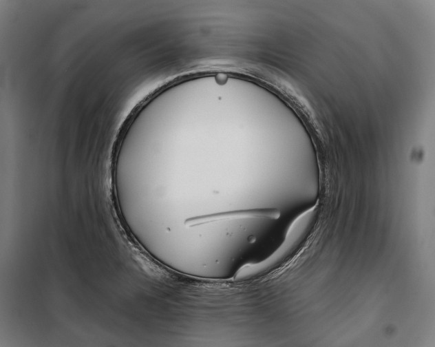 X0000099511328200806121430