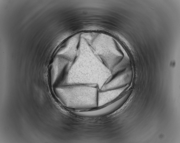 X0000099511329200806121430