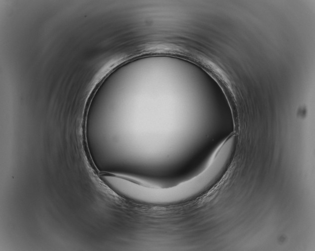 X0000099511330200806121430