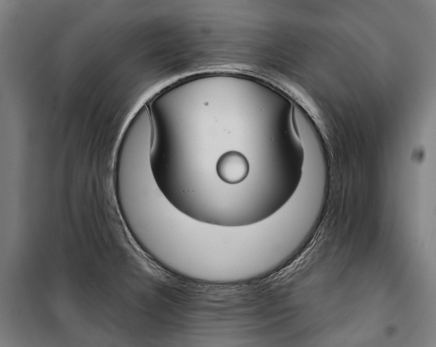 X0000099511332200806121430