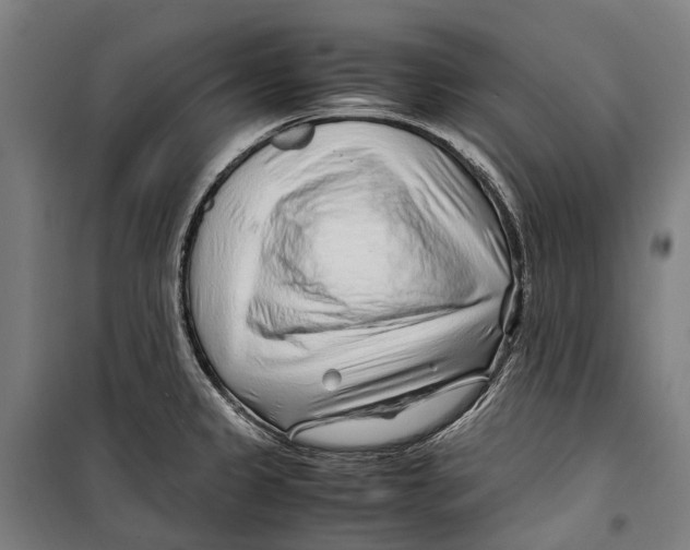 X0000099511333200806121430