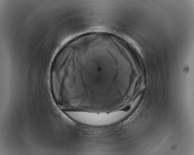 X0000099511334200806121430