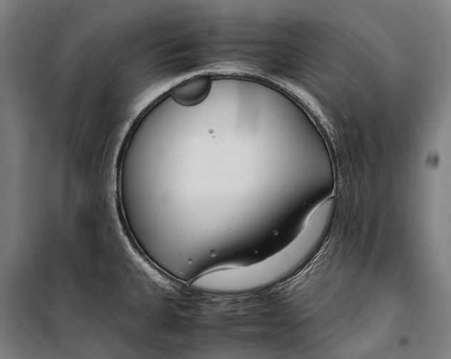 X0000099511335200806121430