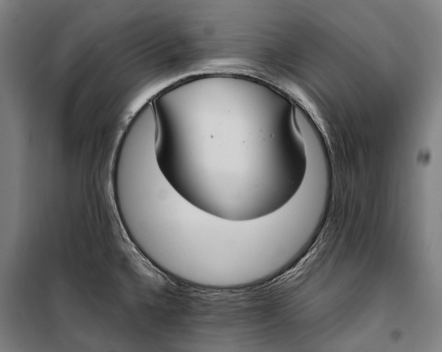 X0000099511336200806121430