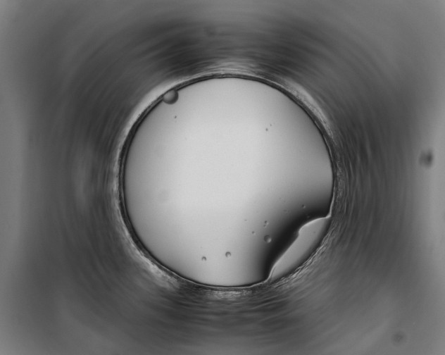 X0000099511339200806121430