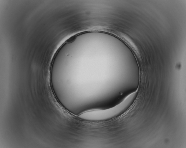 X0000099511340200806121430