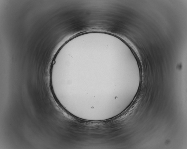 X0000099511341200806121430