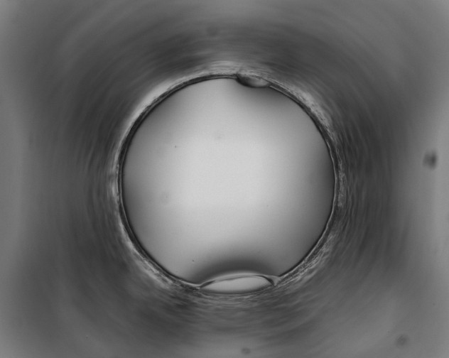 X0000099511342200806121430