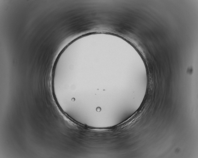 X0000099511343200806121430