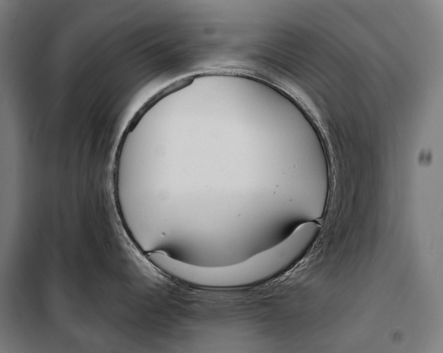 X0000099511344200806121430