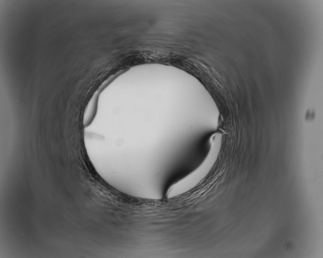 X0000099511345200806121429