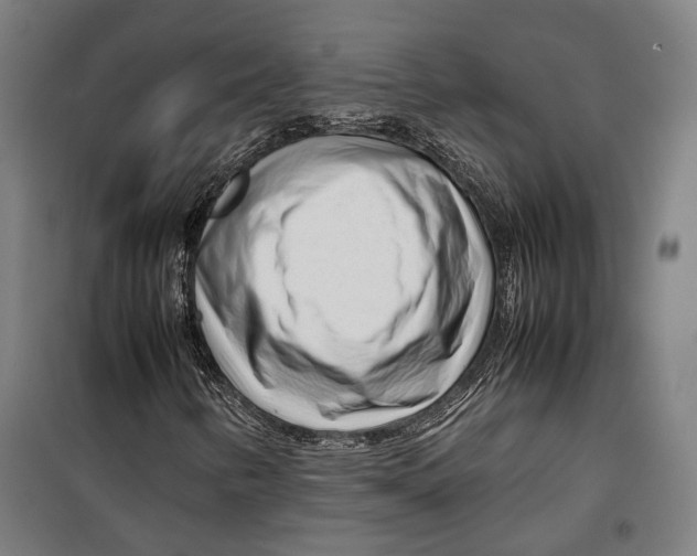X0000099511346200806121429