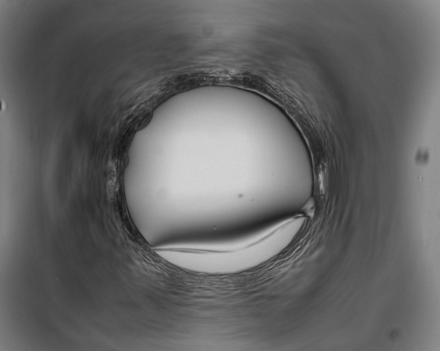 X0000099511347200806121429