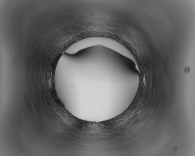 X0000099511348200806121429