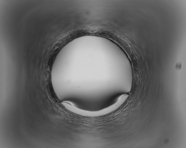 X0000099511349200806121429