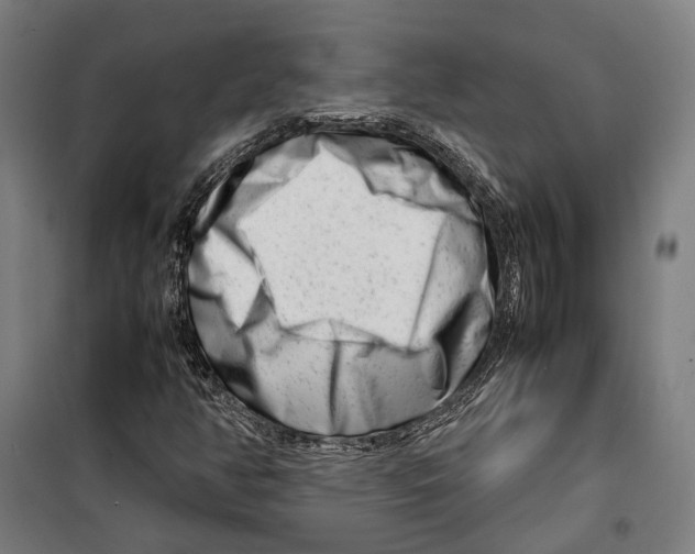 X0000099511350200806121429