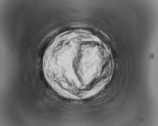 X0000099511351200806121429