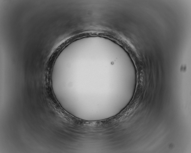 X0000099511352200806121429