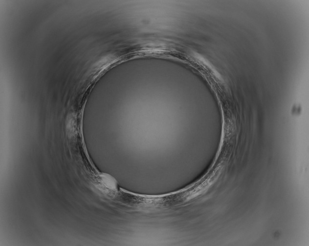 X0000099511353200806121429