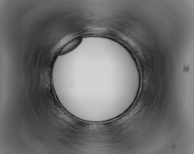 X0000099511354200806121429